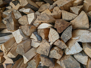 Preparation of firewood for the winter. firewood background, Stacks of firewood in the forest. Pile of firewood. logs of wood stacked with order
