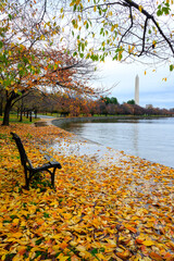 Bench along the Tidal Bain on a Rainy Autumn Day