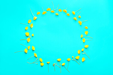 Small yellow flowers in the form of a circle on the bright blue background. Floral summer background. 