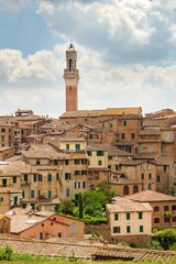 Obraz premium View of the city skyline of Siena in the background are typical stone houses and towers. It is popular summer travel destination, Europe, Italian