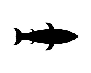 Naklejka premium Great white shark silhouette. Vector illustration isolated on white background. Bottom view.