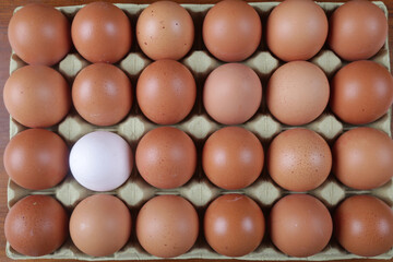 raw brown eggs and one white egg in a  carton packaging