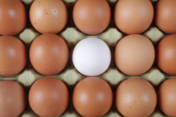 raw brown eggs and one white egg in a  carton packaging