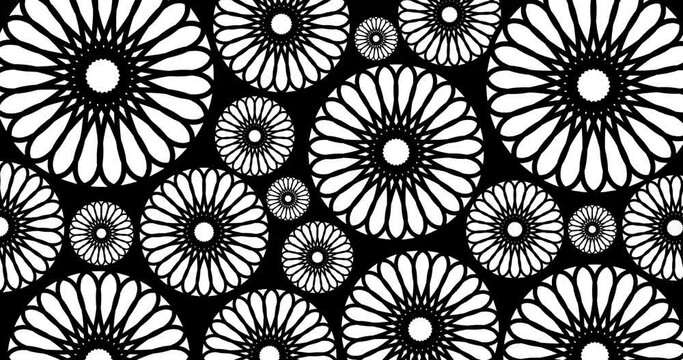 seamless pattern with sun flowers black and white 4k footage clip