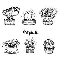 Set of hand drawn pot plants doodle style