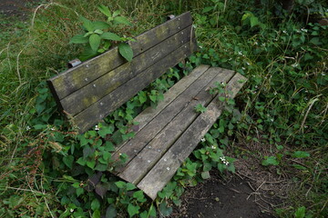 Naklejka premium 放棄され草に覆われるベンチ