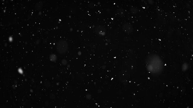 slow falling snow on the black backgrounds