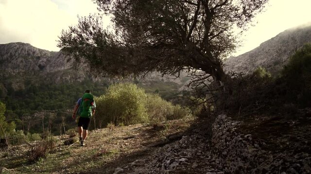 Video of a hiker walking down a tree during golden hour in Serra de Tramuntana, Balearic Islands (Spain)