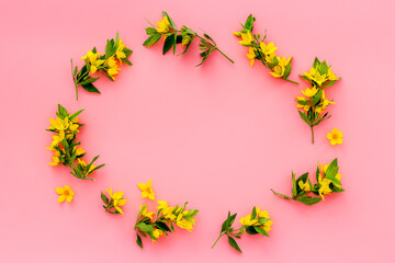 Wild spring flowers top view. Floral frame with space for text