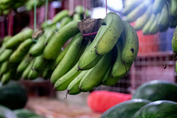 Selective Focus Shot of a bunch of bananas hanging in a market