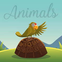 cartoon animals parrot on the turtle in grass nature