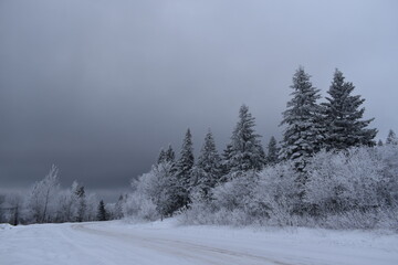 The road of the rang du nord in winter, Sainte-Apolline