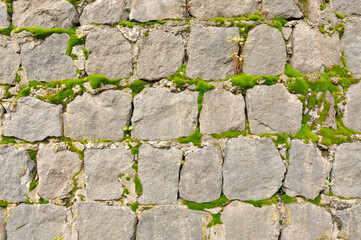 stone wall with green moss in the joints