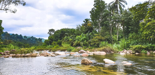 Natural forest river wind flow, scene of beautiful landscape.