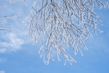 Schneekristalle, Winterlandschaft