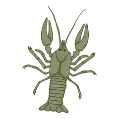 Crawfish Vector Cartoon Illustration
