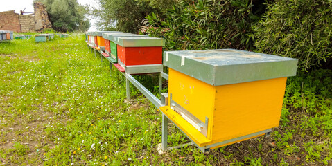 Countryside Bee Hives