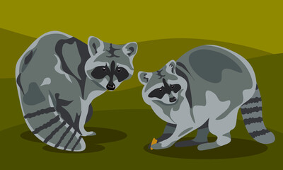 set of cartoon and realistic gray raccoons in different poses. wild forest predators and fur of a gray rodent, a mammal. Icon set isolated vector illustration