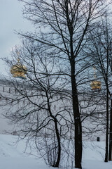 nature poster. winter forest and wall of church with gold domes