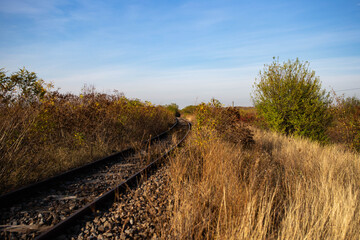 Obraz premium path through the field