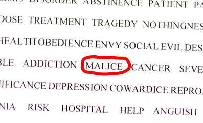 A set of words related to malice. Social life, emotions, feelings and habits