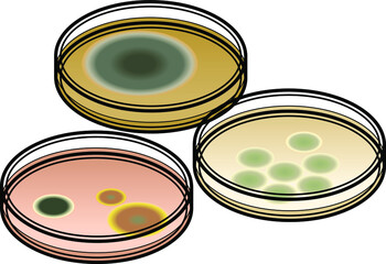 Three petri dishes with microbes growing on them.