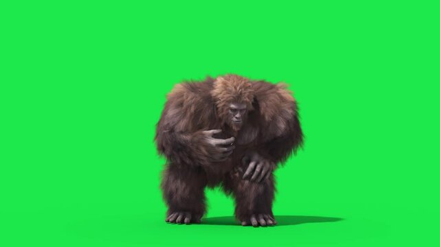 Green Screen Bigfoot Yeti Eat Front Real Fur 3D Rendering Animation 4K