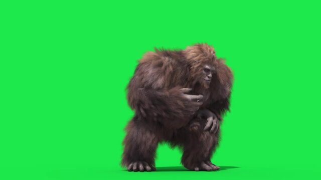 Green Screen Bigfoot Yeti Eat Real Fur 3D Rendering Animation 4K