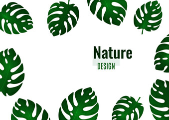 Trendy natural design of bright monstera leaves, place for text, white background. Botanical vector illustrations for advertising.