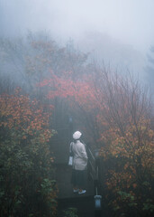 Woman wearing hat and winter coat standing in autumn maple forest and fog at national park
