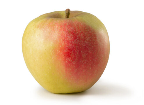 Apfel Elstar freigestellt