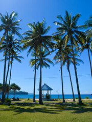 Beautiful scenery, coconut trees and shelter on Srau Beach, Pacintan Indonesia