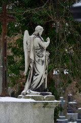 Tombstones and graves, family crypts and vaults on graveyard or cemetery with angels, saints and...