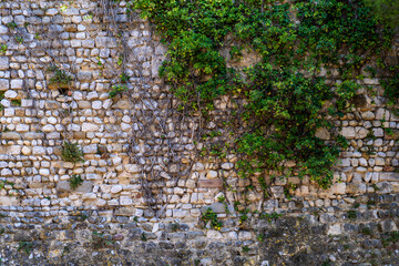 French church stone wall covered with vines