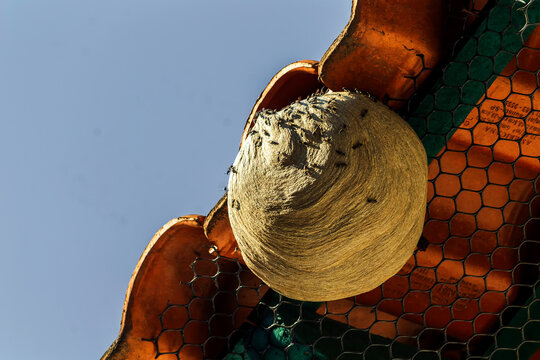 Enxu IMG_8290