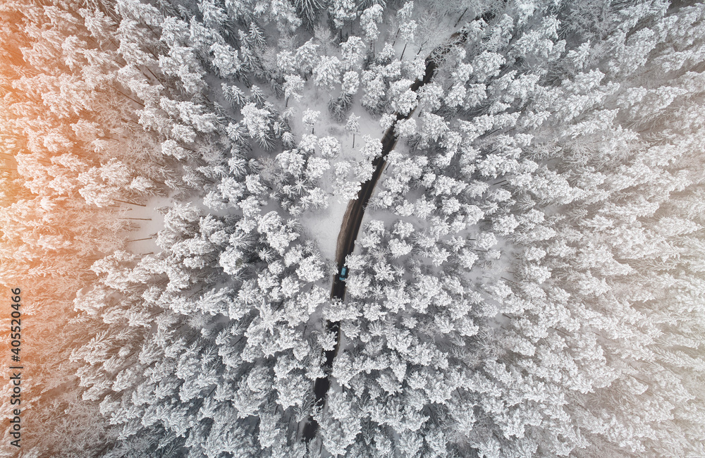 Poster Car move on road around winter forest