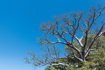 Cañon del sumidero chiapas