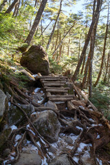 初冬、信州、八ヶ岳、長野県、茅野市の黒百合ヒュッテ近く、うっすら雪の積もった中山峠付近の登山道。