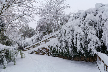 Snowscape in a park in Madrid due to the snowstorm Filomena.
