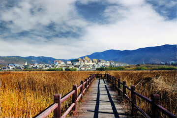 wooden pathway on the large yellow meadow with a cityscape and palace scenic in the countryside of Yunnan,China, on a sunny day with a clear sky.