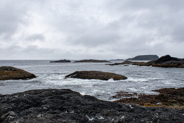 A view of the ocean on a hike around Ucluelet, BC, Canada