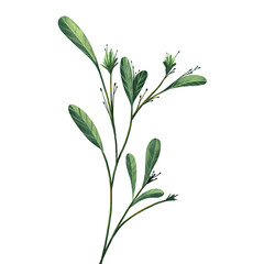 Clip art green leaf for decorate your artwork template. the bunch is style simple and eazy to use. Digitalpainting and illustration.