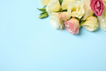 Obraz na płótnie Canvas Beautiful Eustoma flowers on light blue background, flat lay. Space for text