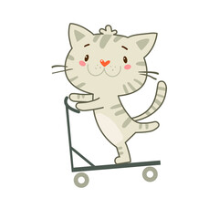 Mischievous kitten rides a scooter