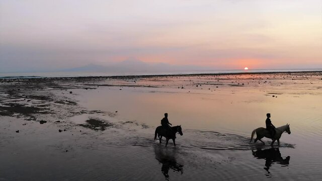 Caballos al Atardecer
