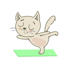 Cute cat doing yoga on the mat