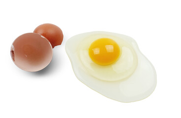 One raw chicken egg with yellow yolk and clear white egg in three layers and broken eggshell isolated on white background with clipping path. The largest cell in the world.