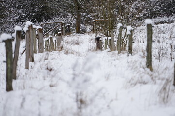 winterlandschaft
