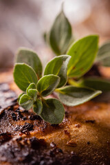 steel grilled meat burger with wood flame fries in metallic foil herbs oregano onions cordoba argentina