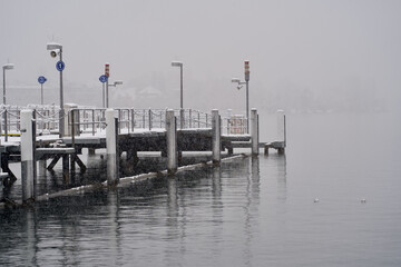 Gangplank at lake covered with fresh snow and seagulls.